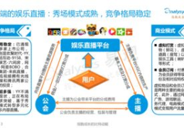 娱乐直播行业理解,揭秘娱乐直播行业的崛起与变革