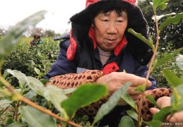 工伤赔偿一般能赔偿多少钱失去亲人后的问题：工伤导致死亡家属能获得多少？