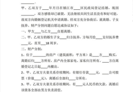 离婚协议书自己写还是律师写,自行起草还是寻求律师协助？全面解析